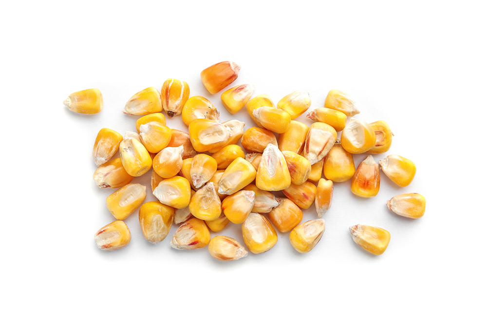 Yellow Corn